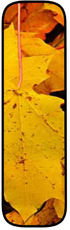Herbstbuchstabe-2-I.jpg